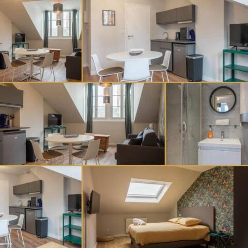 올리언스 Le Haut Du Bannier * T2 * Hyper Centre * Wifi * 아파트 외부 사진