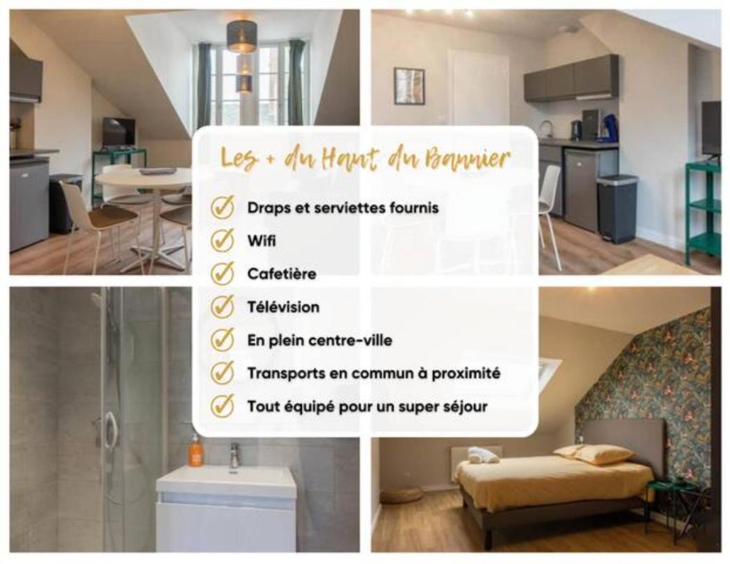 올리언스 Le Haut Du Bannier * T2 * Hyper Centre * Wifi * 아파트 외부 사진